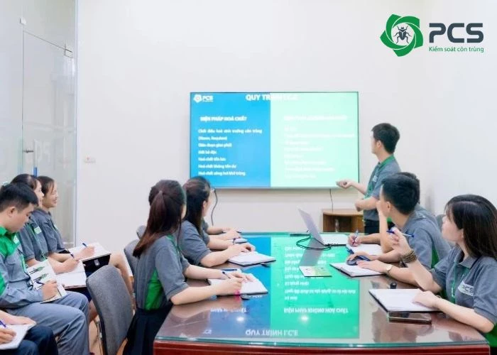 Đôi nét về dịch vụ diệt gián tại Đồng Nai của PCS